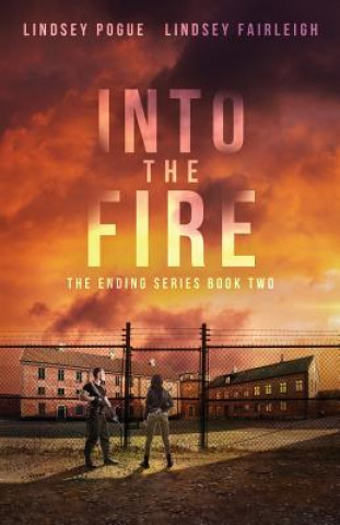 Buch Into The Fire LINDSEY FAIRLEIGH