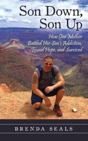 Книга Son Down, Son Up BRENDA SEALS