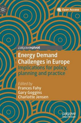 Könyv Energy Demand Challenges in Europe Frances Fahy