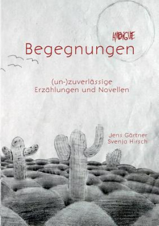 Kniha Ambigue Begegnungen Svenja Hirsch