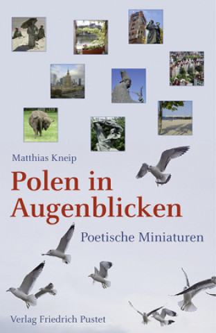 Kniha Polen in Augenblicken Matthias Kneip