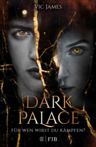 Kniha Dark Palace - Für wen wirst du kämpfen? Vic James