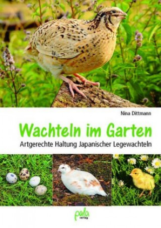 Kniha Wachteln im Garten Nina Dittmann