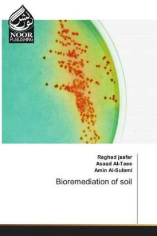 Kniha Bioremediation of soil Raghad Jaafar