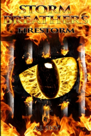 Knjiga Firestorm A J Sky