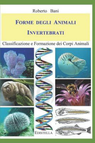 Könyv Forme Degli Animali Invertebrati: Classificazione E Formazione Dei Corpi Animali Roberto Bani