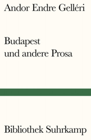 Buch Budapest und andere Prosa Andor Endre Gelléri