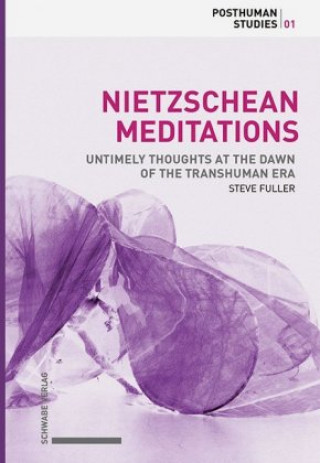 Carte Nietzschean Meditations (hardcover) Steve Fuller