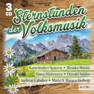 Аудио Sternstunden Der Volksmusik Various