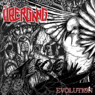 Zvok Evolution Übergang