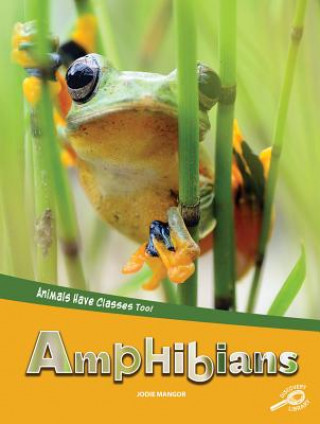 Könyv Animals Have Classes Too! Amphibians Jodie Mangor