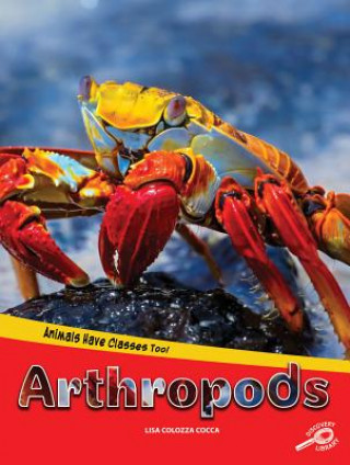 Könyv Animals Have Classes Too! Arthropods Lisa Cocca