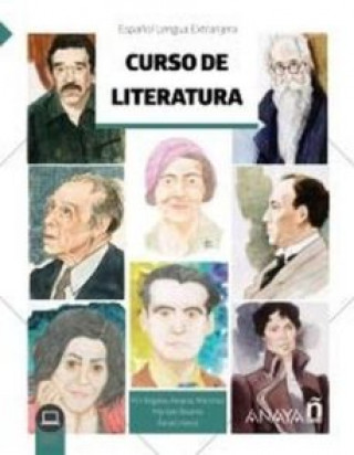 Книга Curso de literatura (Anaya ELE) Mª ANGELES ALVAREZ MARTINEZ