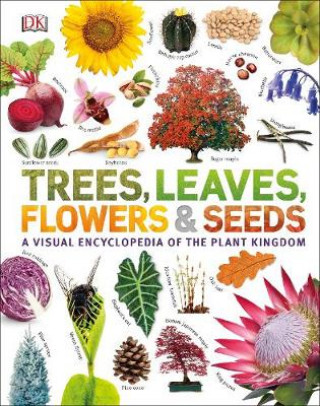 Kniha Our World in Pictures: Trees, Leaves, Flowers & Seeds DK
