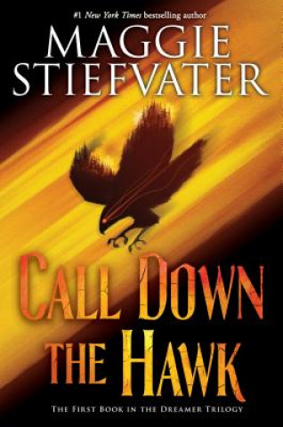 Könyv Call Down the Hawk (The Dreamer Trilogy, Book 1) Maggie Stiefvater