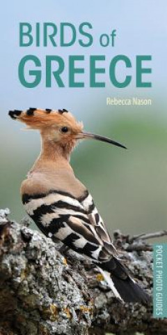 Книга Birds of Greece Rebecca Nason