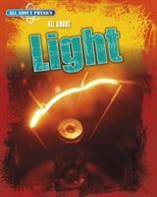 Book All About Light GRAY  LEON