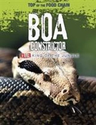 Książka Boa Constrictor SPILSBURY  LOUISE