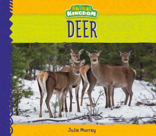 Βιβλίο Deer Julie Murray