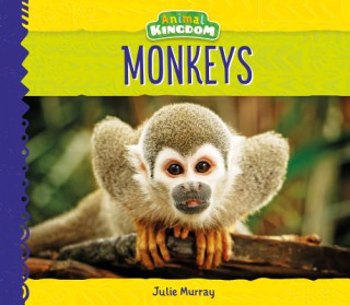 Book Monkeys Julie Murray