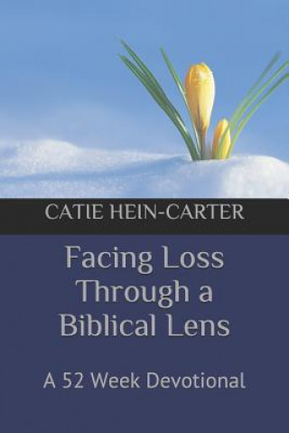 Knjiga Facing Loss Through a Biblical Lens: A 52 Week Devotional Catie Hein-Carter