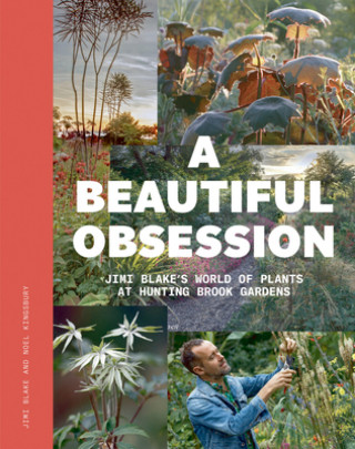Könyv Beautiful Obsession JIMI BLAKE