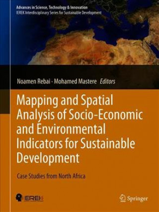 Könyv Mapping and Spatial Analysis of Socio-economic and Environmental Indicators for Sustainable Development Noamen Rebai