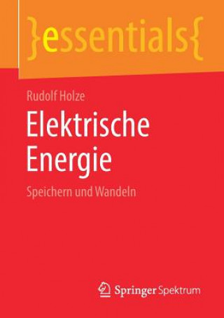 Kniha Elektrische Energie Rudolf Holze