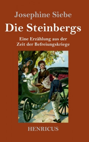 Knjiga Die Steinbergs Josephine Siebe