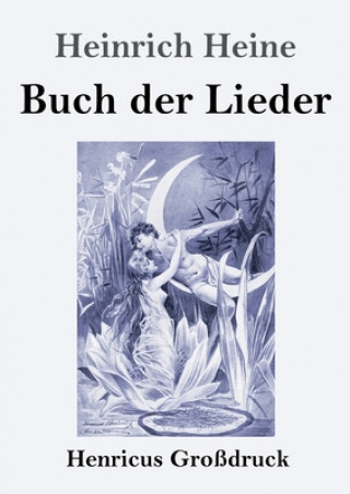 Książka Buch der Lieder (Grossdruck) Heinrich Heine