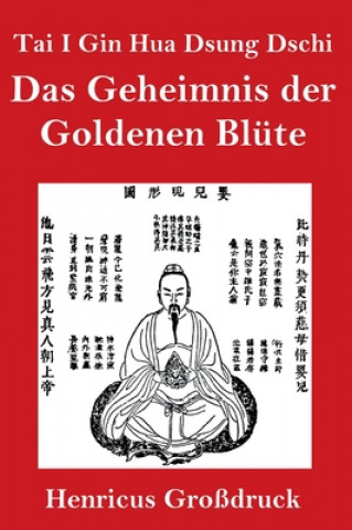 Könyv Tai I Gin Hua Dsung Dschi (Grossdruck) Anonym
