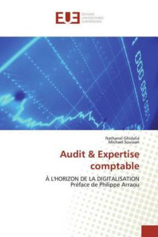Knjiga Audit & Expertise comptable Nathanel Ghidalia