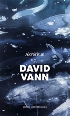 Könyv Akvárium David Vann