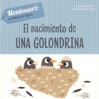 Kniha EL NACIMIENTO DE UNA GOLONDRINA CHIARA PIRODDI