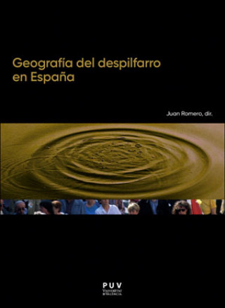 Kniha GEOGRAFÍA DEL DESPILFARRO EN ESPAÑA JUAN ROMERO