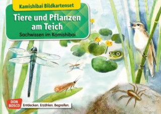 Hra/Hračka Tiere und Pflanzen am Teich. Kamishibai-Bildkartenset. Katharina Stöckl
