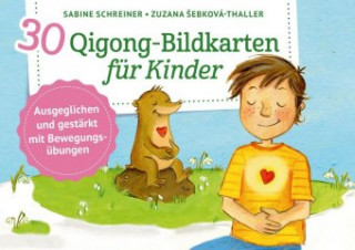 Kniha 30 Qigong-Bildkarten für Kinder Sabine Schreiner