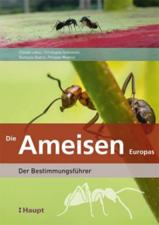 Kniha Die Ameisen Europas Claude Lebas