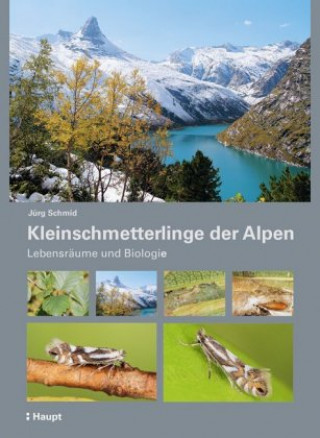 Carte Kleinschmetterlinge der Alpen Jürg Schmid