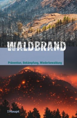 Könyv Waldbrand Bernhard Henning
