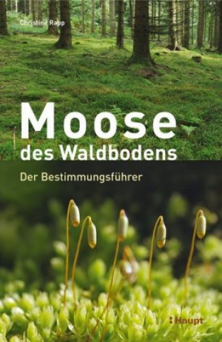 Knjiga Moose des Waldbodens Christine Rapp