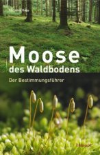 Carte Moose des Waldbodens Christine Rapp