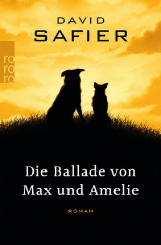 Könyv Die Ballade von Max und Amelie David Safier