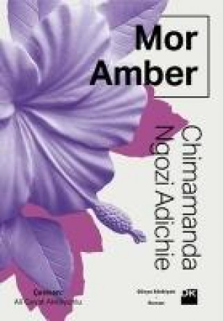 Knjiga Mor Amber Chimamanda Ngozi Adichie