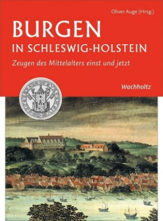 Книга Burgen in Schleswig-Holstein Oliver Auge