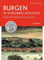 Könyv Burgen in Schleswig-Holstein Oliver Auge