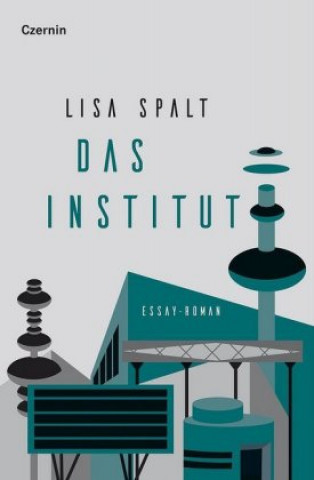 Kniha Das Institut Lisa Spalt