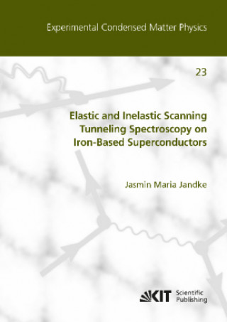 Kniha Elastic and Inelastic Scanning Tunneling Spectroscopy on Iron-Based Superconductors Jasmin Maria Jandke