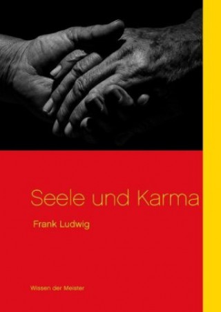 Könyv Seele und Karma Frank Ludwig