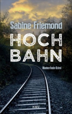 Kniha Hochbahn Sabine Friemond